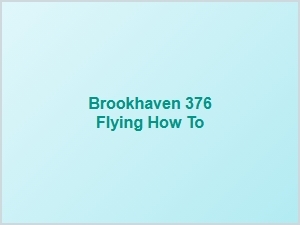 How to Fly in Brookhaven 376