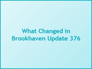 What Changed in Brookhaven Update 376